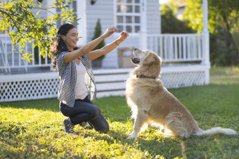 Woman training a dog in back yard.