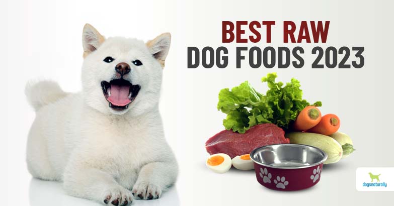 Best Raw Dog Foods For 2024