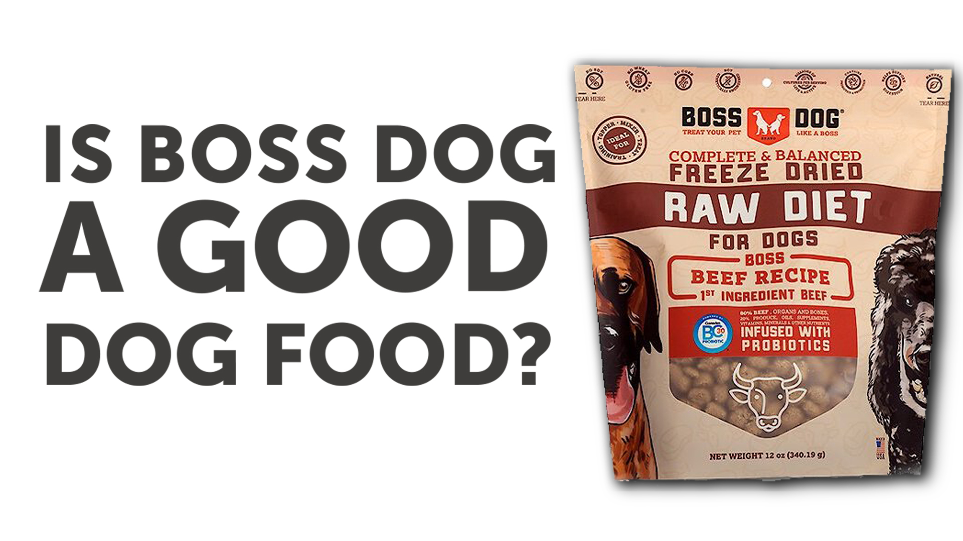 Boss Dog Food Review – Dogs Naturally