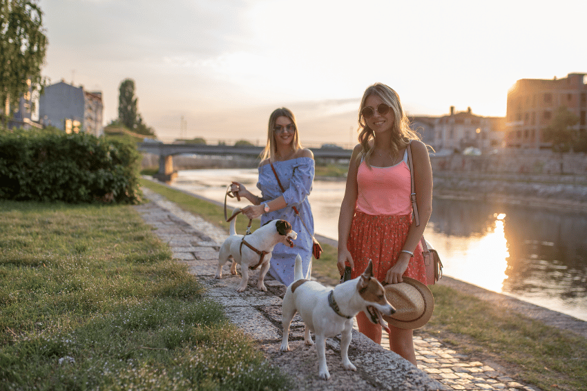 Two women, enjoying NDIS support for their leisurely activities, walk dogs along a riverbank path at sunset. They wear sunglasses and summery outfits, with one holding a hat. The scene features a stone path, grassy areas, and a scenic river with a bridge and buildings in the background.