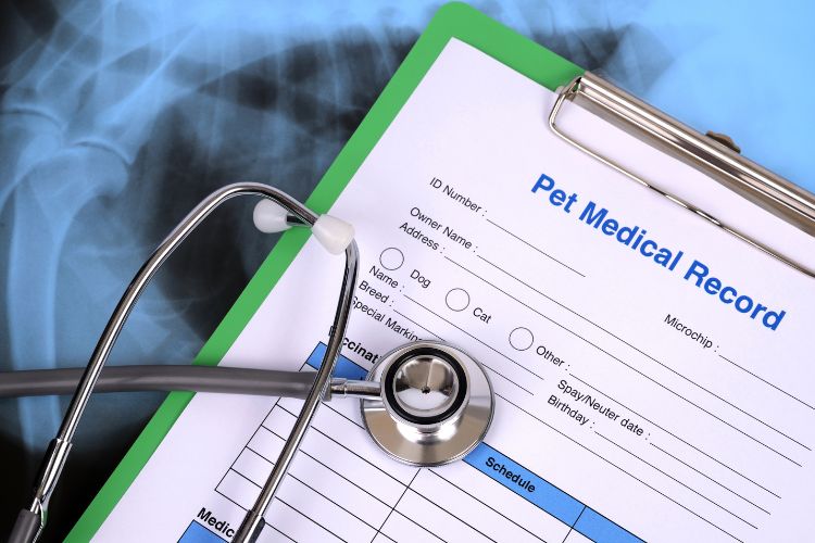 pet medical record