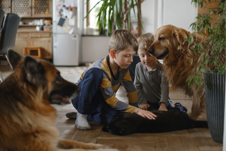 Children sitting on the floor with their pets