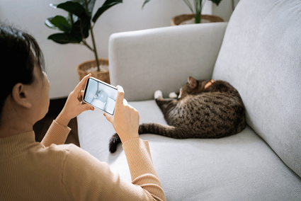 A person is sitting on a couch, taking a photo of their sleeping cat with a smartphone. The cat is curled up on the sofa, and plants are visible in the background, creating a serene moment of pet care during times when crisis support is essential.