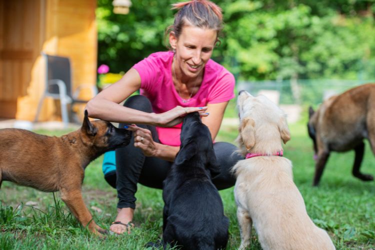 How Puppy Pre-School Help Your Dog to Behave Well