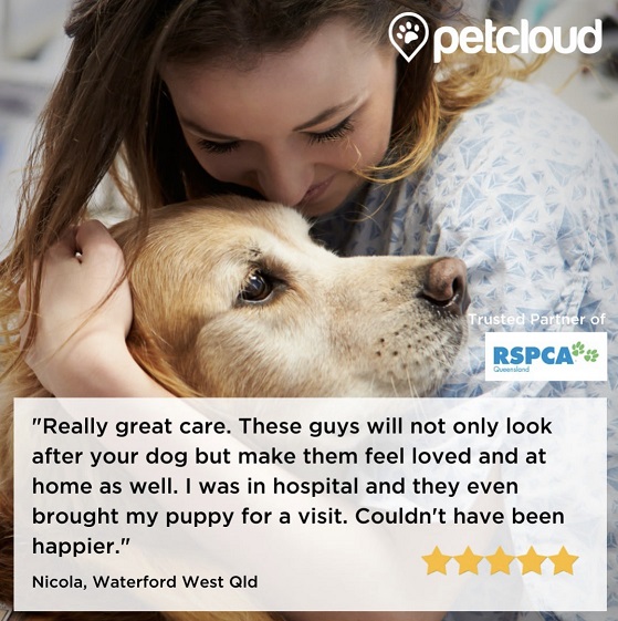 A young woman with long hair lovingly cuddles a golden retriever. Text on the image includes a testimonial praising the Crisis Support Pet Care service, PetCloud, mentioning they brought a puppy to the hospital, with a five-star rating from Nicola in Waterford West, QLD.