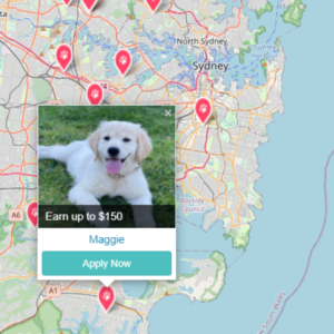 A map of Sydney with multiple location pins is shown. An inset image of a happy, light-colored dog lying on grass appears over the map along with text offering an opportunity to "Earn up to $150" for dog walking in Sydney. A button labeled "Apply Now" is below the dog's name, Maggie.