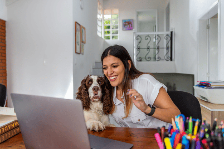 How to Start a Side Hustle with Pet Sitting