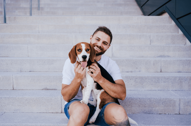 A man with a beard, in a white t-shirt and denim shorts, sits on outdoor steps, smiling while holding a brown and white beagle on his lap. The scene, an ideal start for inspiration on how to set up a pet business, features additional steps and part of a modern building and he is a pet sitter and dog walker wondering about pet safety.