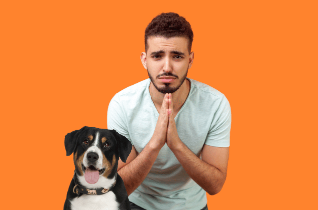 A man with a beard in a light blue shirt holds his hands together, as if sharing tips on how to set up a pet business, next to a happy black and white dog with a brown collar. They are set against a solid orange background.