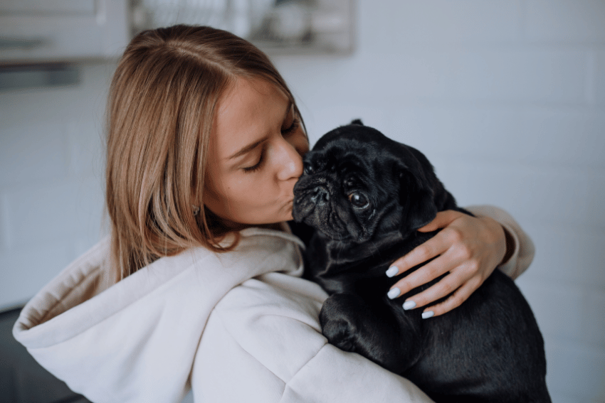 In a cozy indoor setting in Adelaide, a woman with long hair and a white hoodie lovingly kisses her black pug. The dog looks content and happy, as if it just returned from an enjoyable stay at an affordable pet boarding facility.