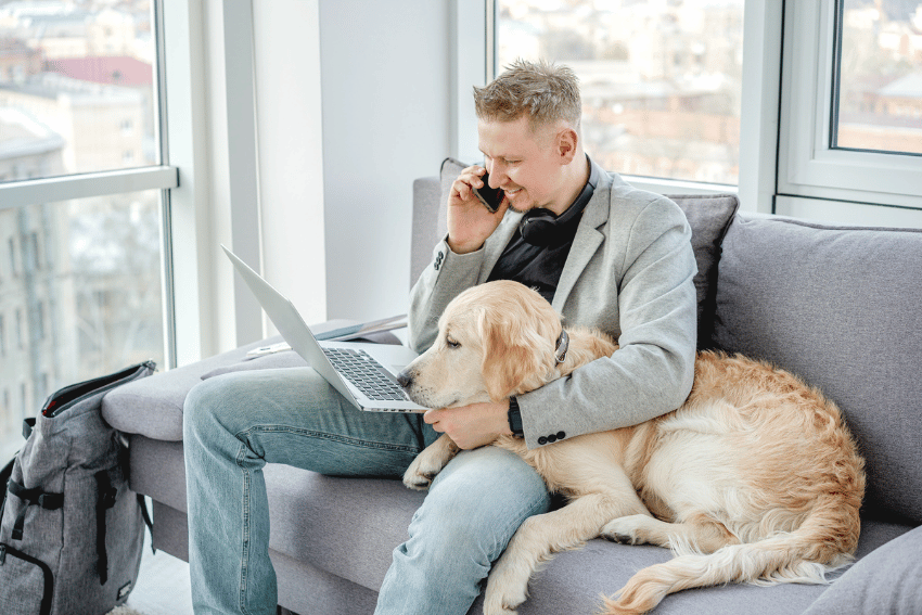 Affordable Long-Term Pet Boarding in Canberra